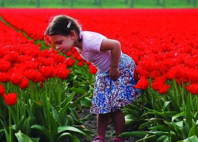 Brasil porn amigas safadas brincando de fazer sexo anal em uma boa suruba - Holanda, Inglaterra & Escócia