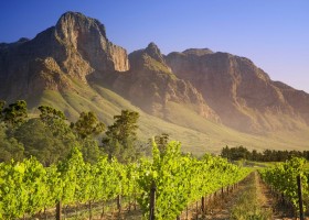 Brasil porn amigas safadas brincando de fazer sexo anal em uma boa suruba - África do Sul Sofisticada